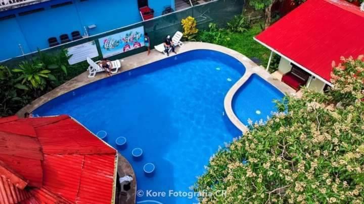 Miss Miriam. Hotel Frente Al Mar Tortuguero Kültér fotó